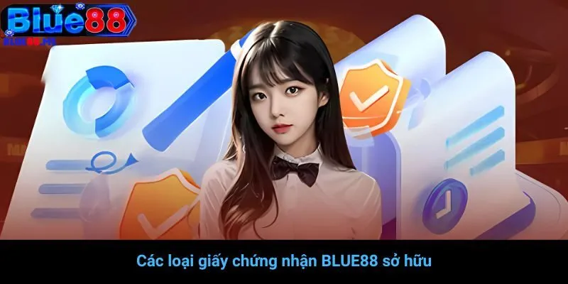 Các loại giấy chứng nhận BLUE88 sở hữu