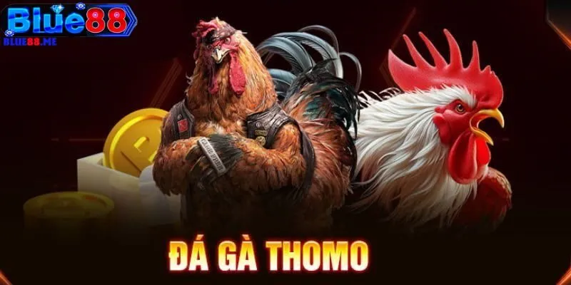 Đá Gà Thomo BLUE88