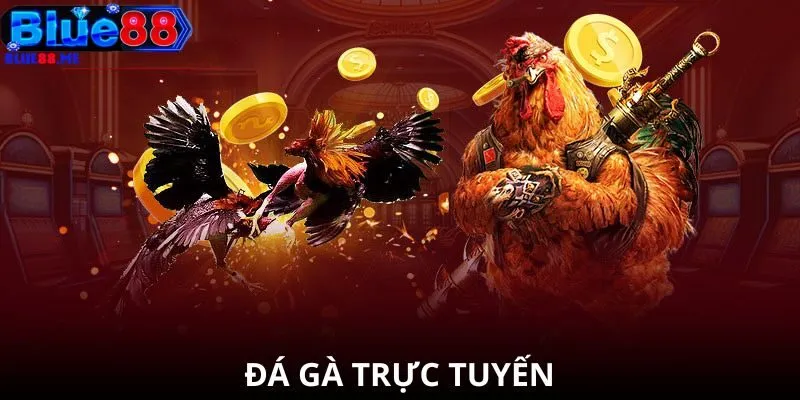 Đá Gà Trực Tuyến Cùng BLUE88
