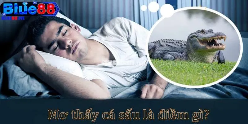 Mơ Thấy Cá Sấu