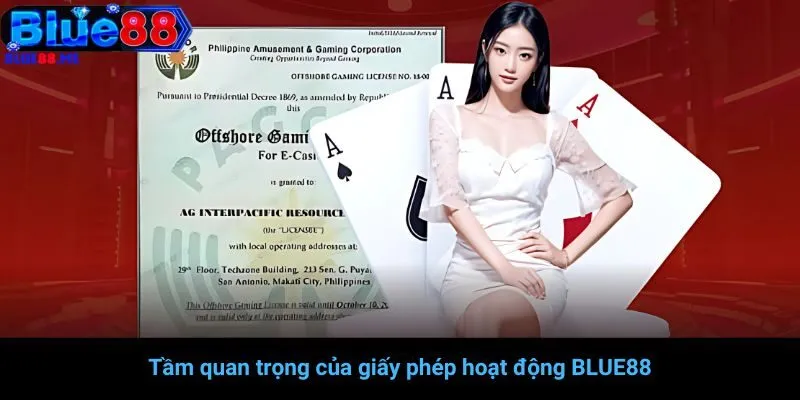 Tầm quan trọng của giấy phép hoạt động BLUE88